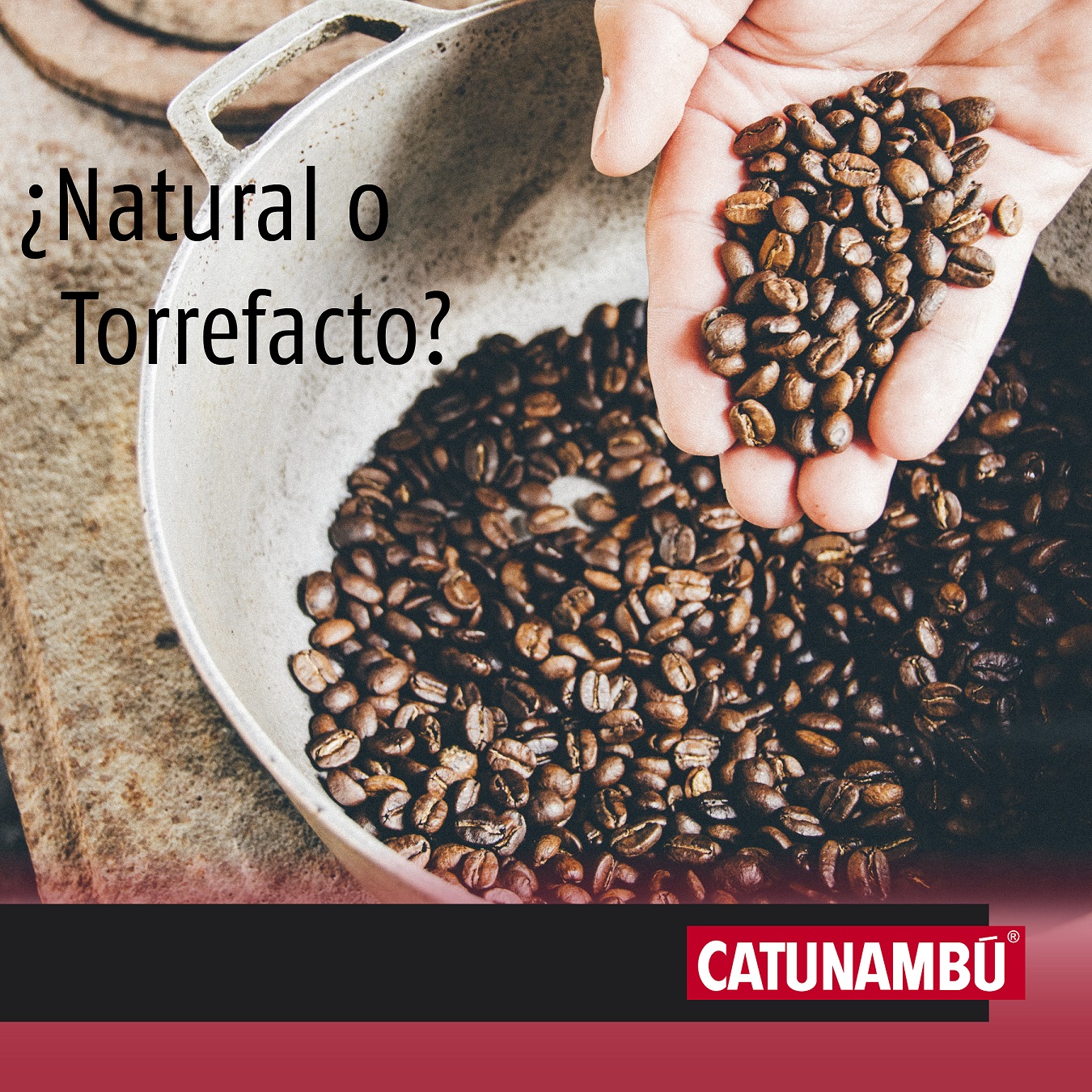 Café natural o Café torrefacto Catunambu