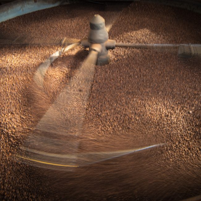 Foto en detalle de muchos granos de café en molino siendo removidos.