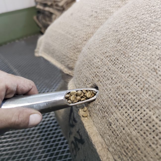 Foto en detalle de una mano extrayendo del grano de una bolsa.